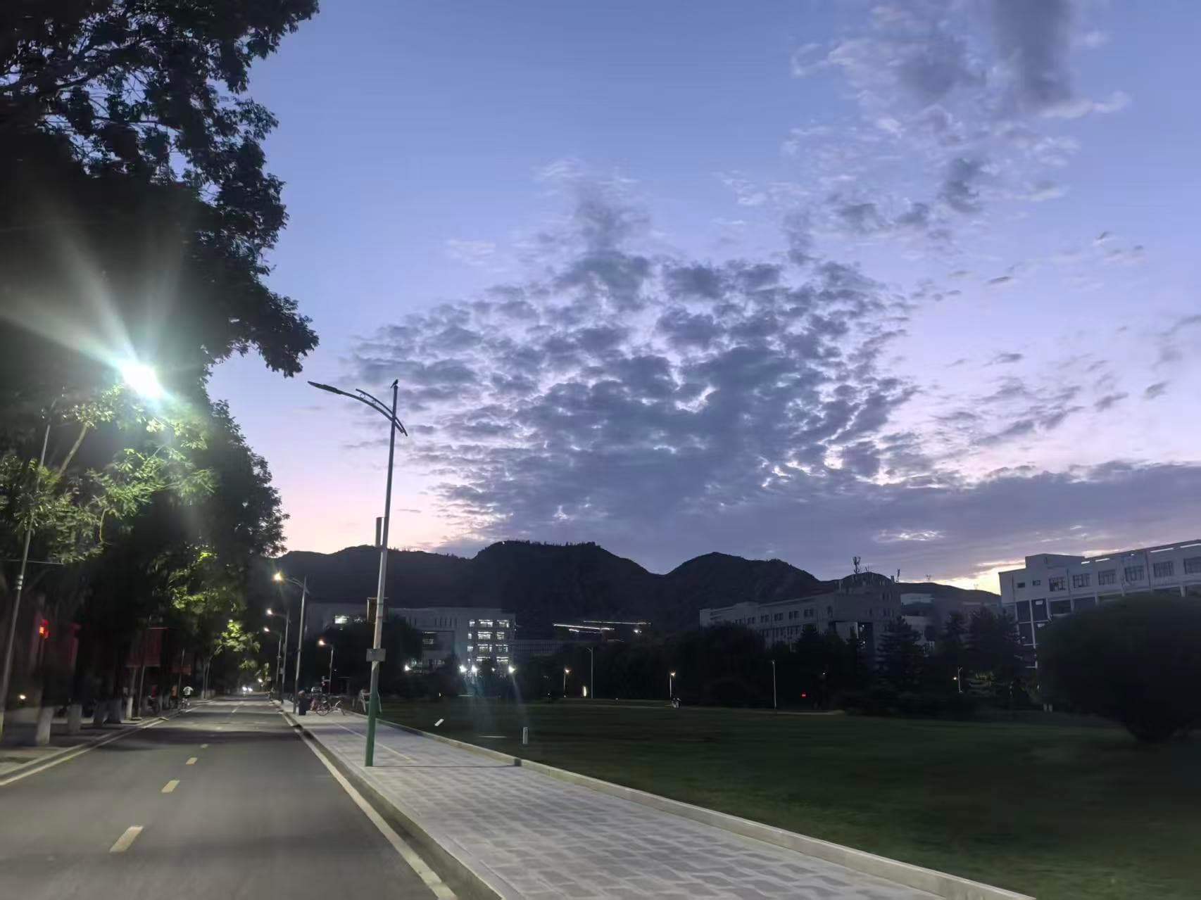 何必执着故土,最好落地生根